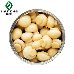 Nút nấm đóng hộp với toàn bộ hoặc lát Bán buôn tinh khiết ban đầu - Product Image 2