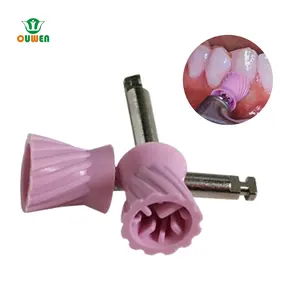Consommables dentaires Fournisseur Dentiste Instrument Outil Loquet Type Prophy Cup