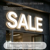 Enseignes lumineuses 3D personnalisées à LED, lettres LED murales pour les magasins de détail et les réceptions d'hôtels