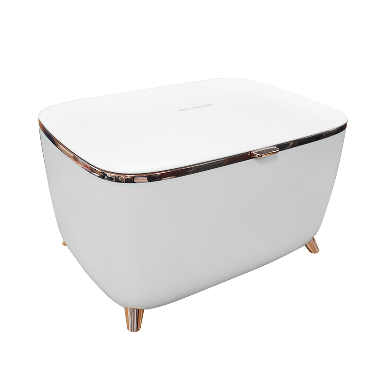 Портативный мини-холодильник для косметики, 10 л