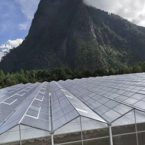 Serra Agricola Multi-Span Grande Starfarm in Stock per Idroponica di Pomodori con Copertura in Lastre di Policarbonato - Basso Costo, Alta Resa - In Offerta - Product Image 4