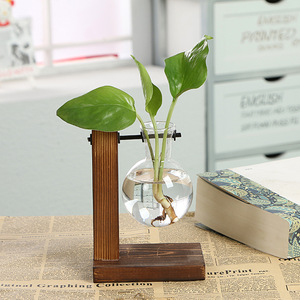 Supporto in Legno Massiccio Moderno Retrò con Nuovo Vaso in Vetro Trasparente Terrario Vaso da Tavolo <span class=keywords><strong>per</strong></span> Propagazione Idroponica - Product Image 4