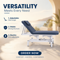 Table de massage électrique Hi-Lo à 2 sections, lit d'examen avec éponge haute densité, revêtement en PVC, cadre métallique, dossier, pour hôpital, clinique, spa