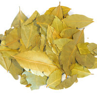 Feuilles de laurier herbes d'épices fournisseur chinois feuilles de laurier séchées feuille de laurier