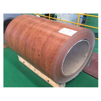 Bobines PPGI galvanisées prépeintes de haute qualité OEM/ODM – Produits en acier galvanisé de première qualité provenant directement des fournisseurs d'usine