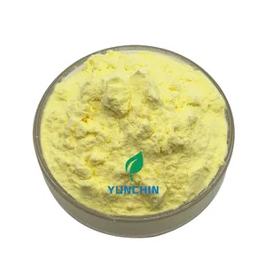 Hot Selling And Best Price Ginger Extract Powder