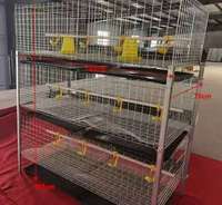 Poulailler à étages personnalisable, cage à poulets de type H avec acier galvanisé