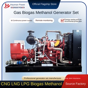 גנרטורים ביוגז וגז 200kW 250kW 300kW לחוות בעלי חיים ולשטחי נפט דגם 230400 50/60 הרץ - Product Image 3