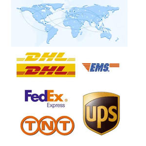 مسحوق أوراق المورينجا السائبة مسحوق المورينجا الصف الغذاء - Product Image 6