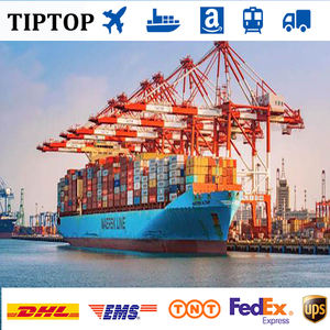 Профессиональный экспедитор морских грузоперевозок из Китая в Австралию/Новую Зеландию (DDP/DDU/LCL+Экспресс) - Product Image 6