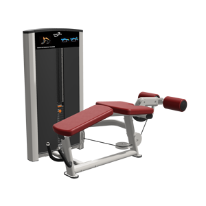 L'action d'extension des jambes agit sur les muscles du biceps femoris, du semi-tendineux et du semi-membranéens. - Product Image 3