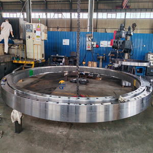 Fabrieksuitlaat Graafmachine Tandwielring R320lc-9 Zwenklagerring - Product Image 2