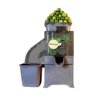 Groothandel Fabrieks Prijs Automatische Citroenenpers 80kg/uur Hoge Capaciteit Sapcentrifuge NS2000E-6 Direct Verzending