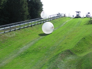 WINSUN Ballon gonflable en PVC TPU, ballon gonflable Zorb, ballon à bulles pour hamster, jeu de ballon à rebond en plein air - Product Image 2
