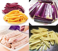 Industriële aardappel snijmachine, aardappelchips snijder, wortel, cassave, raap, groente snijmachine, tandwielpomp, bakkerij