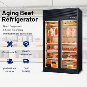 Nuovo Frigorifero Commerciale per la Stagionatura della Carne, per Steakhouse di Alta Gamma, a Risparmio Energetico, in Acciaio Inossidabile - Product Image 1