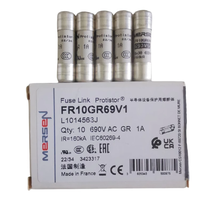 Fusible semi-conducteur cylindrique original Ferraz FR10GR69V, FR10GR69V2, V4, V6, V10, V20, V25, V30, 10*38mm, GR 690VAC, à action rapide