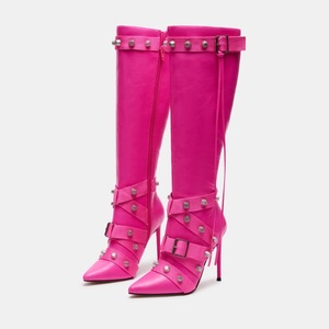 Bottes Femme en Nouveau Matériau à Bout Pointu, Talon Aiguille Designer, Bottes Hautes pour Femme 2024 - Product Image 2