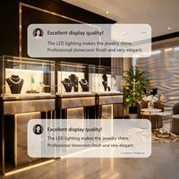 Vitrine de présentation de bijoux personnalisée en verre et bois avec éclairage LED, couleurs personnalisables, robuste, écologique et durable pour les magasins de détail