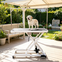 Table de toilettage électrique pour animaux de compagnie EUR PET avec prise, table de toilettage portable pour chat et chien