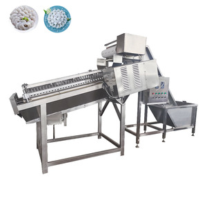Shrimp Prawn Peeling Machine Shrimp Automatic Shrimp Shelling Machine for Sale Fish Sorter Machine - Product Image 5