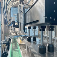 Ligne de production complète pour remplissage automatique de sauce à la mayonnaise, scellage pour boissons, shampoing chimique, verre liquide visqueux