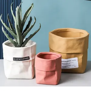 Aangepaste Multi-Size Kleuren Onregelmatige Keramische Succulente Cactus Planter Bloempotten Met Gat