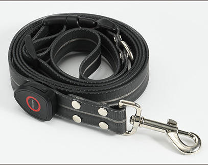 สายจูงสีดำ