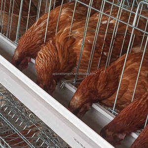 Offre Spéciale poulet volaille ferme 5000 oiseau élevage automatique poules pondeuses oeuf <span class=keywords><strong>prix</strong></span> poulet couche batterie Cage à <span class=keywords><strong>vendre</strong></span> - Product Image 2