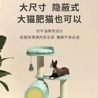 Arbre à chat en forme d'avocat, grand lit pour chat, tour d'escalade pour chat intégrée et peu encombrante