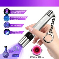 Lampe torche UV de voyage en gros, portable, 365 nm, lumière noire compacte, inspection hygiène hôtelière, CE RoHS OEM ODM personnalisé