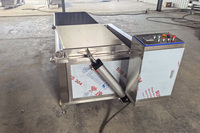 Commerciële groente- en fruitblancheringsmachine met motor, roestvrij staal, elektrisch, voor aardappelchips