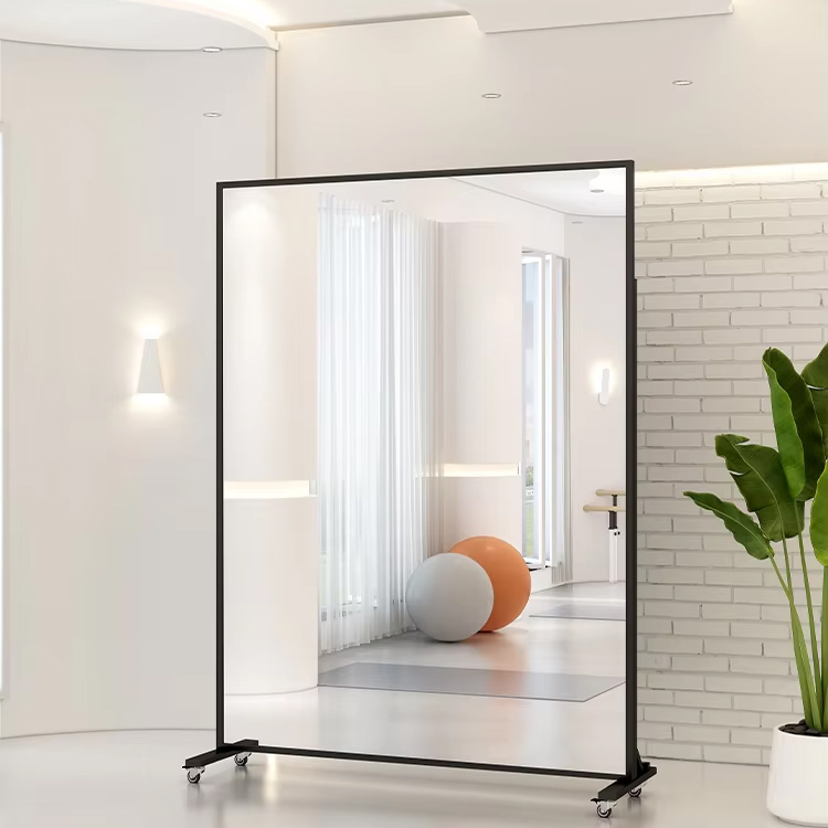 Mobile Full Body Dance Mirror for