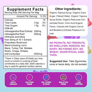 Oem Fabricage Met De Beste Service Voor Immuunondersteuning <span class=keywords><strong>Ashwagandha</strong></span> & Leeuwenmanen Gummies Supplement-Uitgebreide Paddenstoelgummy - Product Image 2