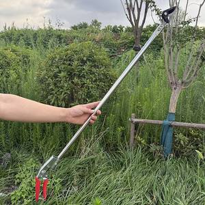 Sécateur à lame croisée en acier inoxydable Mountain Wisteria, design papillon, pour la taille des arbres fruitiers, usage en jardin, manche métallique manuel - Product Image 2