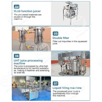 ORME Automatische Natuurlijke Fruitverse Sinaasappel Mango Sap Maak Plant Machine Proces Sap Productielijn Prijs
