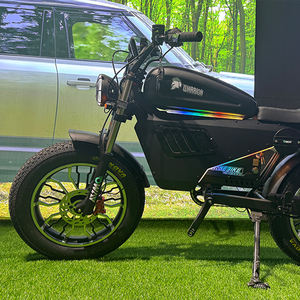 ช่วงความเร็วสูงสุด E-BIKE แรงบิด3000W สำหรับการปีนเขาสุดขีดและการครอบงำเส้นทาง - Product Image 2