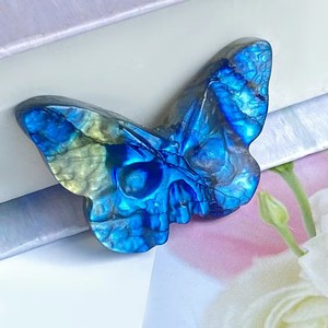 Vente en gros de crânes de papillons en <span class=keywords><strong>labradorite</strong></span> naturelle Stong Flash, pierre de cristal, artisanat modèle gravé pour cadeau - Product Image 4