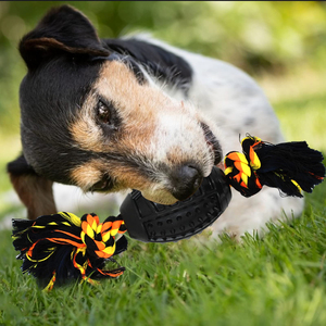 Jouet à mâcher en corde de coton indestructible durable pour chiens Balles en caoutchouc écologiques - Product Image 5