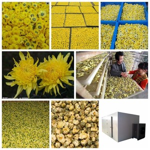 Nuovo basso consumo energetico essiccatore elettrico foraggio foraggio erba al pascolo Cattail erbe erba foglie di canapa asciugatrice - Product Image 5