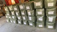Lots en gros de sabots troués pour enfants, tailles et couleurs variées, chaussures de jardin pour enfants, déstockage pour revendeurs