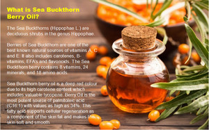 100% чистое масло для облепихи - Product Image 3