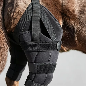 Attelle de genou pour chien pour lésions de la ligament croisé antérieur (LCA) des pattes arrière, support réglable pour la récupération des blessures et la protection des animaux de compagnie - Product Image 5