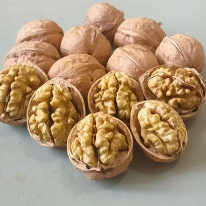 말린 껍질 얇은 피부 종이 쉘 대량 185 도매 호두 가격 중국 호두 껍질 호두 유기농 호두 견과류 - Product Image 3