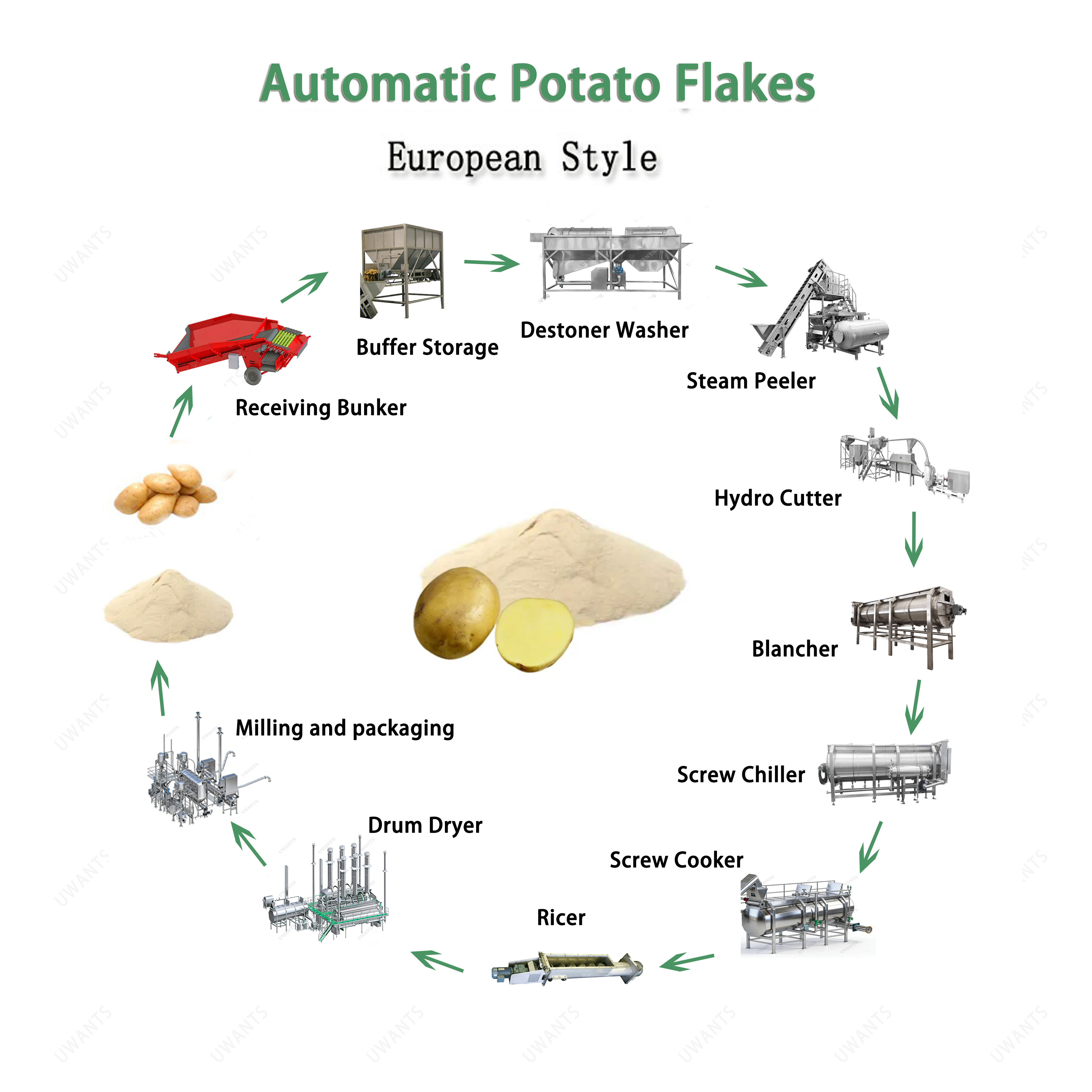 flammulina production