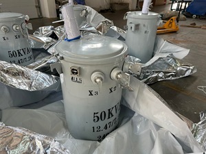 Transformateur toroïdal monophasé monté sur poteau 75 KVA 10kV 600V Modèle D11 Dyn11/Yyn0/Yzn11 Refroidissement Norme IEC60076 D11 75kva D - Product Image 1