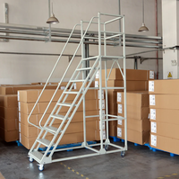 Échelle mobile multifonctionnelle avec plateforme de travail, passerelle industrielle, escalier en acier, design moderne pour usage en entrepôt