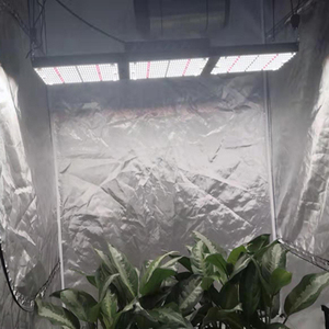 320w spectre complet lm301h blanc 3000k 660nm samsung culture de tissus végétaux conduit la lumière pour les plantes d'intérieur - Product Image 6