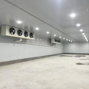 Chambre <span class=keywords><strong>froide</strong></span> automatique pour pommes de terre et oignons avec compresseur Copeland – Solutions écologiques pour la conservation au froid - Product Image 5