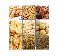 Machine à mélanger les arômes pour chips de maïs, cacahuètes frites et chips de banane, pour la production de snacks commerciaux
